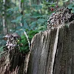 Semesterbostad In Near Veluwe
