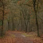 In Near Veluwe Semesterbostad Voorthuizen
