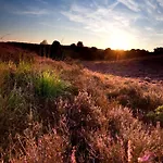 Semesterbostad In Near Veluwe