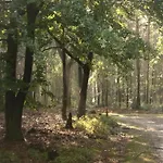 Semesterbostad In Near Veluwe Voorthuizen