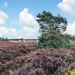 In Near Veluwe * Voorthuizen