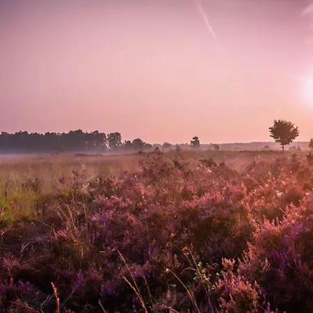 Casa vacanze In Near Veluwe