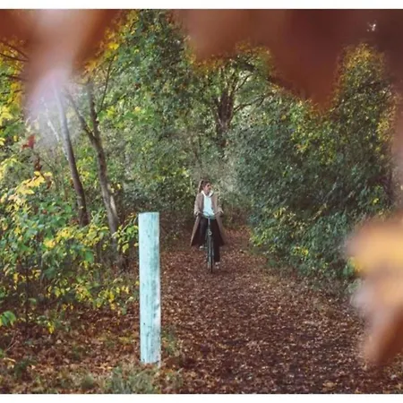 Vakantiehuis In Near Veluwe Voorthuizen