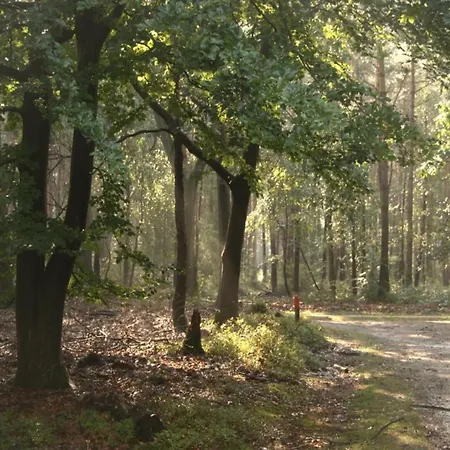 Vakantiehuis In Near Veluwe Voorthuizen