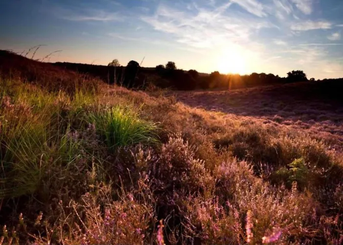 In Near Veluwe Voorthuizen