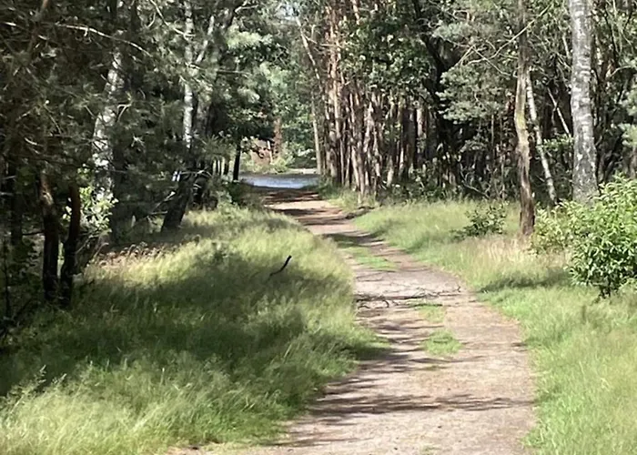 In Near Veluwe Voorthuizen