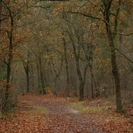 In Near Veluwe Semesterbostad Voorthuizen