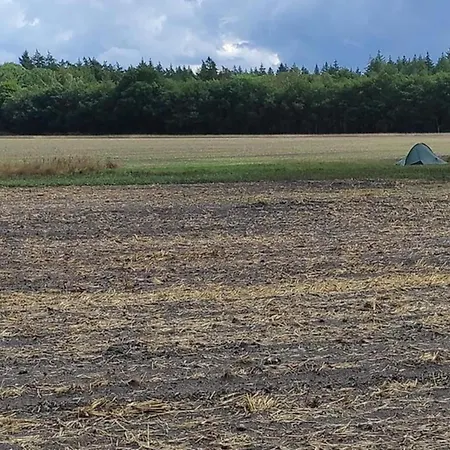 In Near Veluwe *