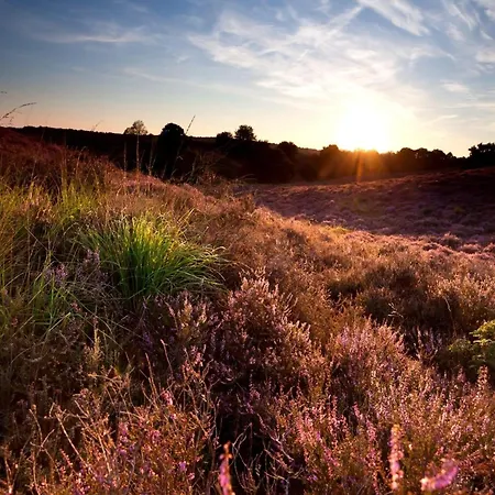 Semesterbostad In Near Veluwe