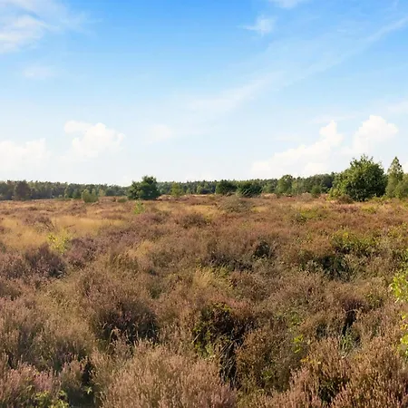 In Near Veluwe Semesterbostad