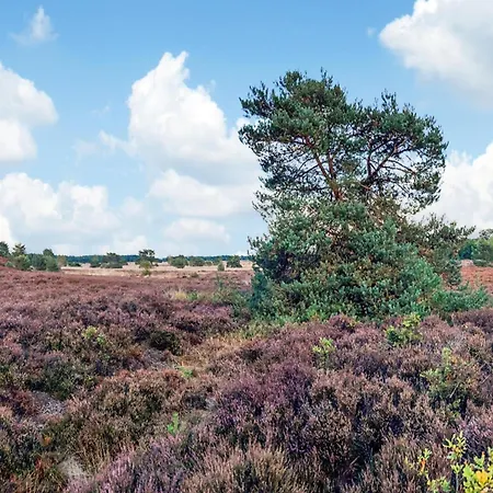 In Near Veluwe * Voorthuizen