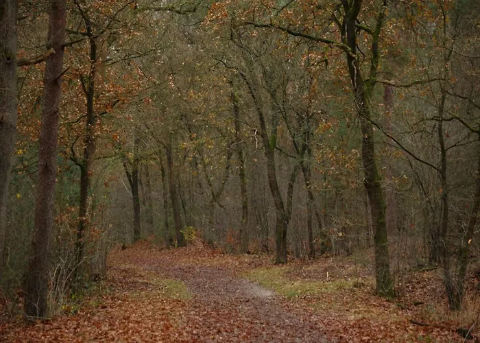 In Near Veluwe Prázdninový dům Voorthuizen
