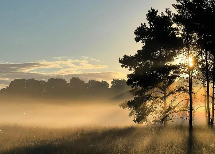 In Near Veluwe Prázdninový dům *