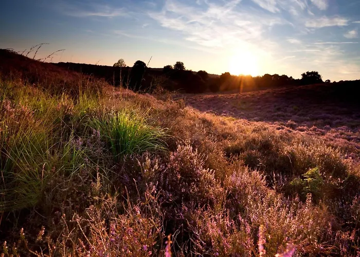 Prázdninový dům In Near Veluwe