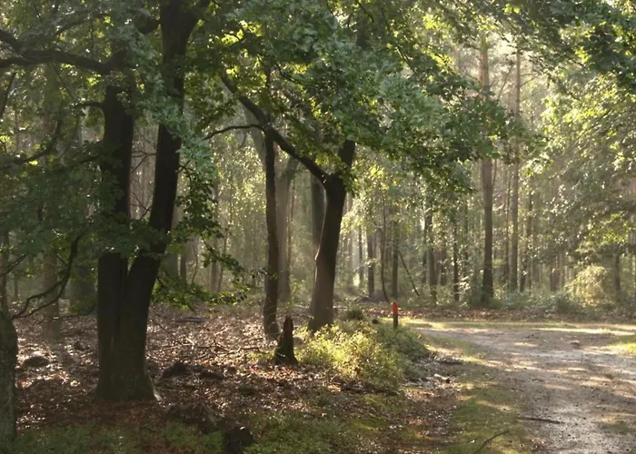 Prázdninový dům In Near Veluwe Voorthuizen