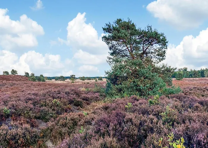 In Near Veluwe * Voorthuizen